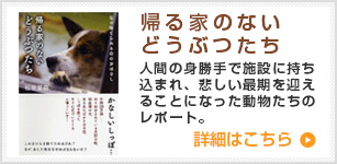 帰る家のないどうぶつたち　松坂星奈　著（松坂星奈は宇月田麻裕の別名です。）人間の身勝手で施設に持ち込まれ、悲しい最後を迎えることになった動物たちのレポート。