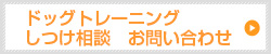 hbOg[jO@k@₢킹