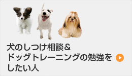 犬のしつけ相談＆ドッグトレーニングをしたい人