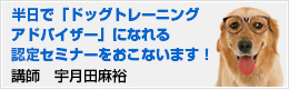 半日で「ドッグトレーニングアドバイザー」になれる認定セミナーをおこないます。講師　宇月田麻裕（うつきたまひろ）